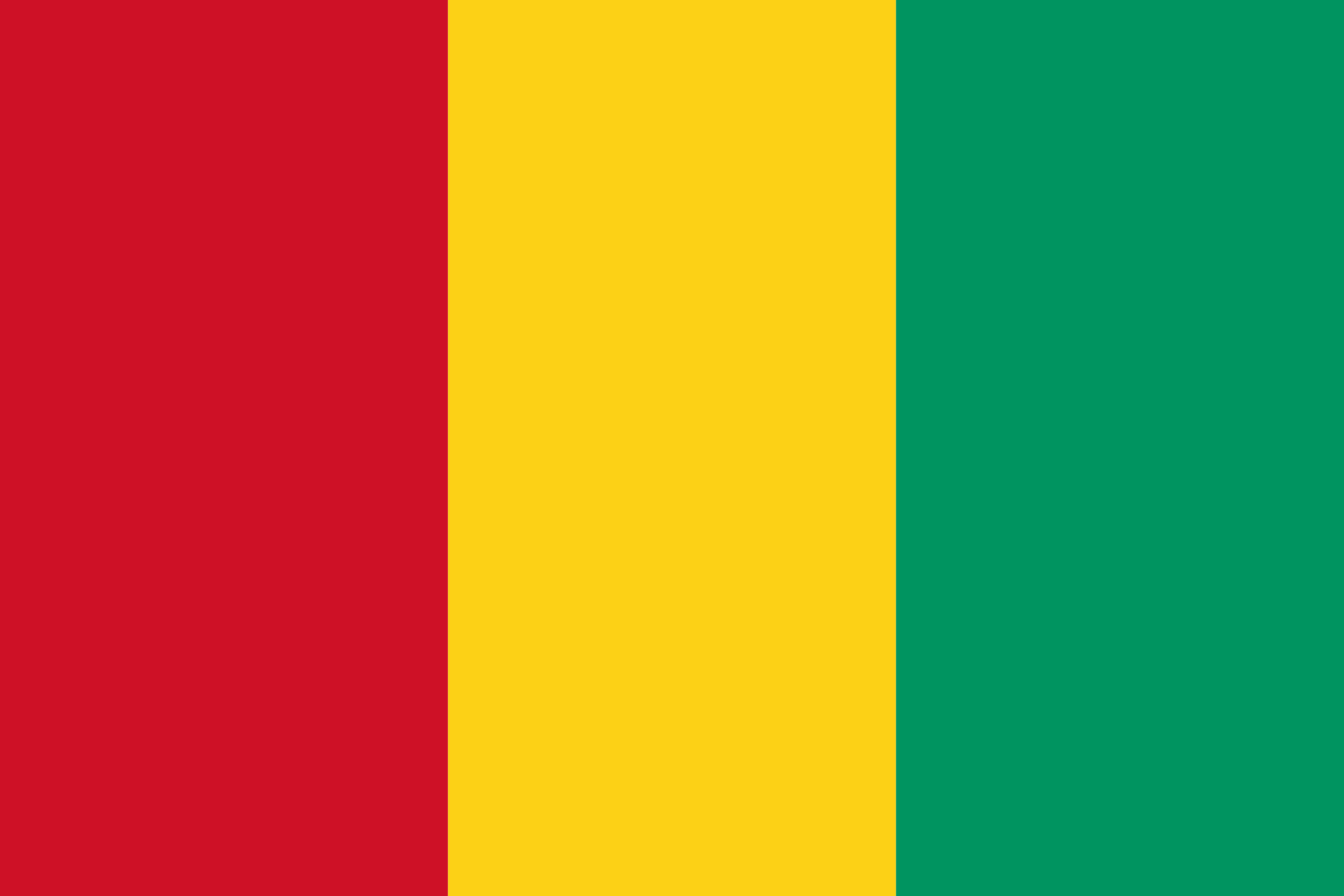 Guinea's flag