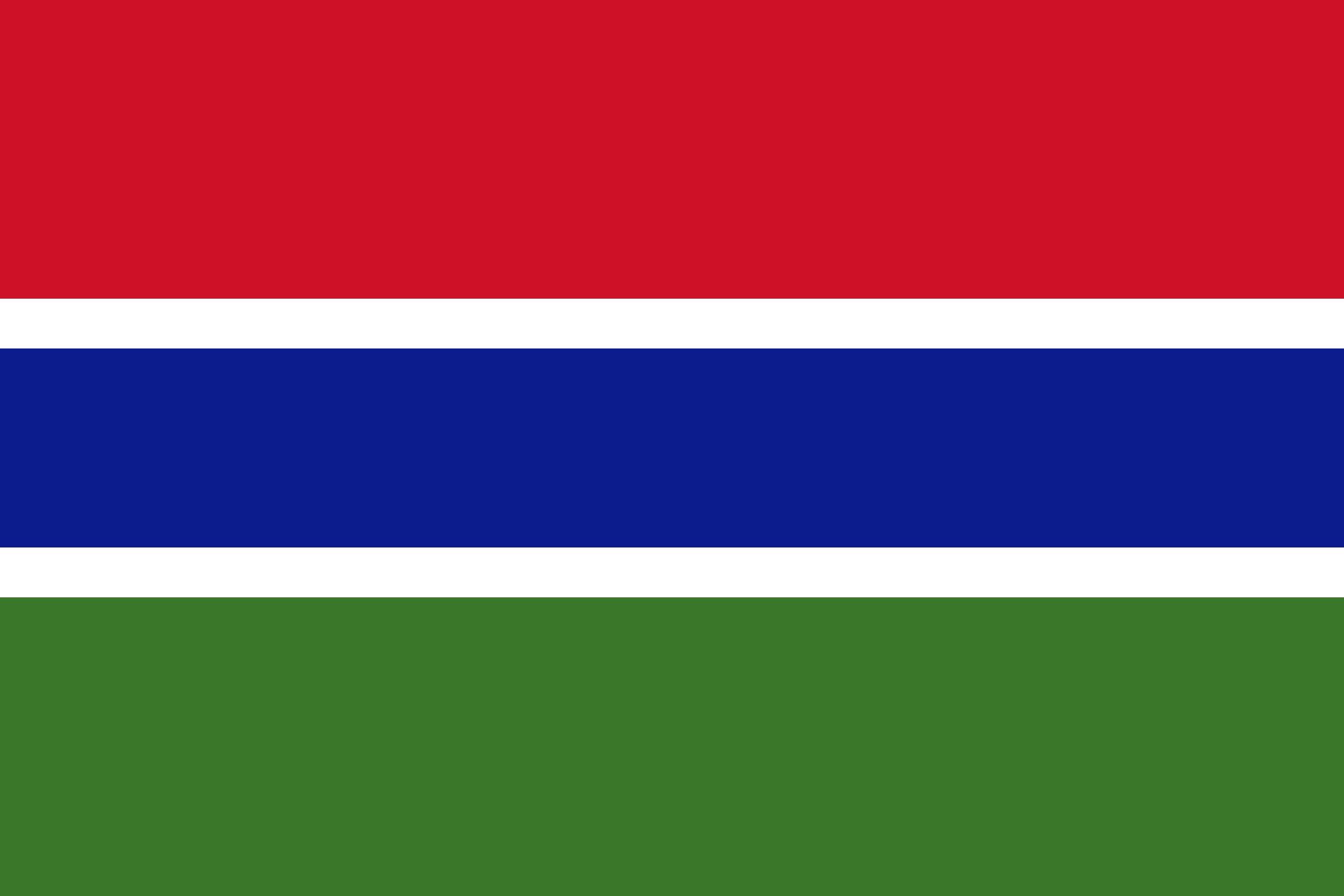 Gambia, the's flag