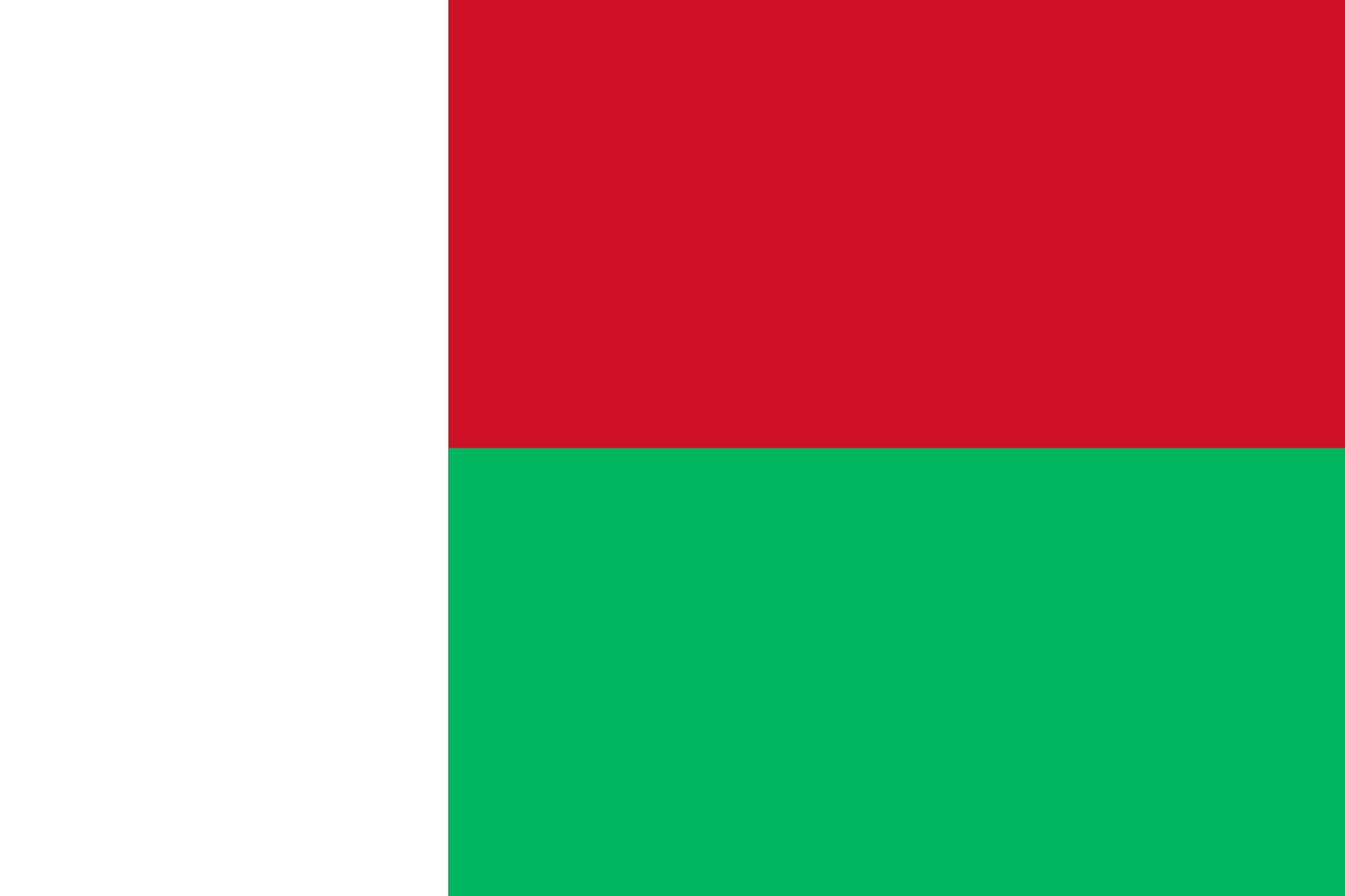 Madagascar's flag