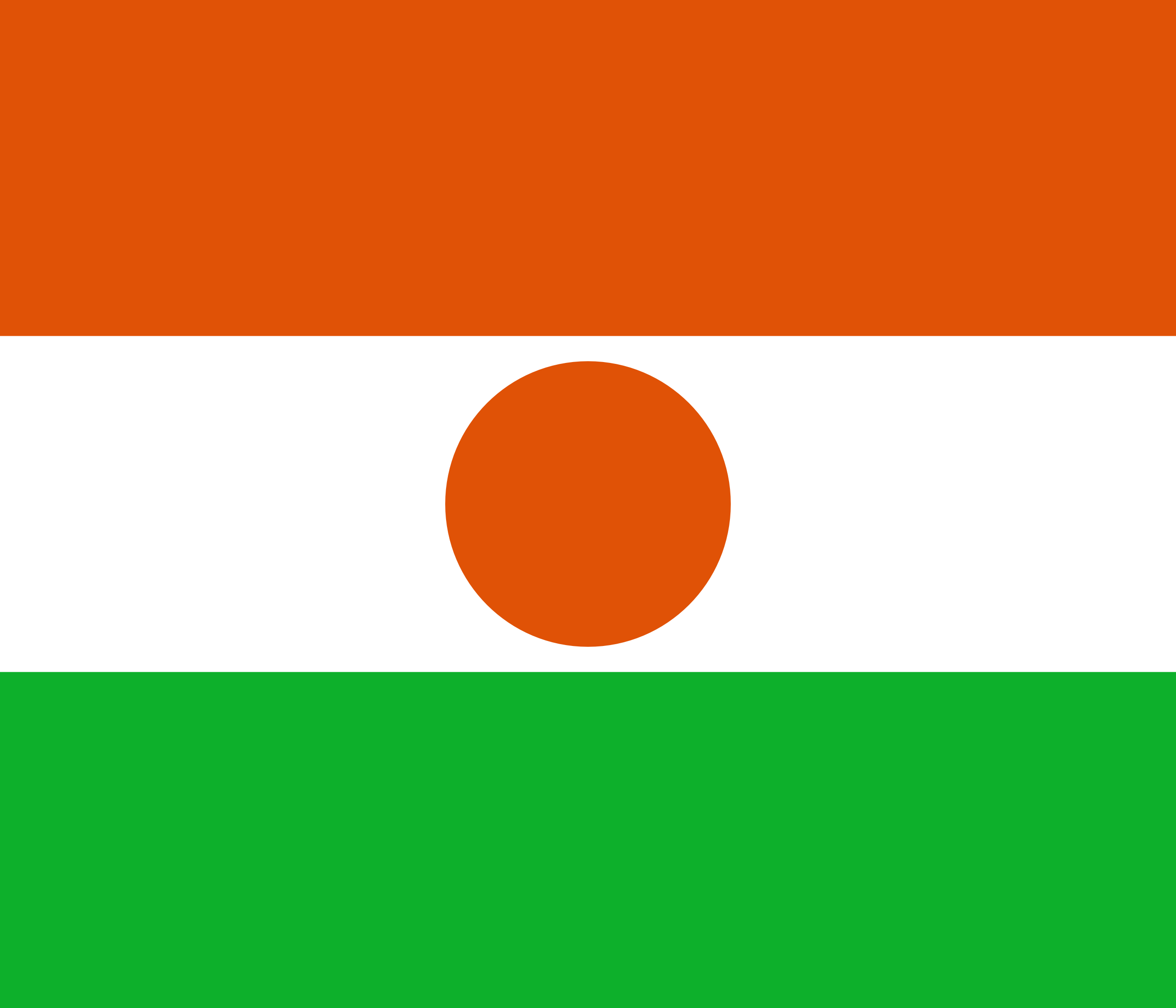 Niger's flag