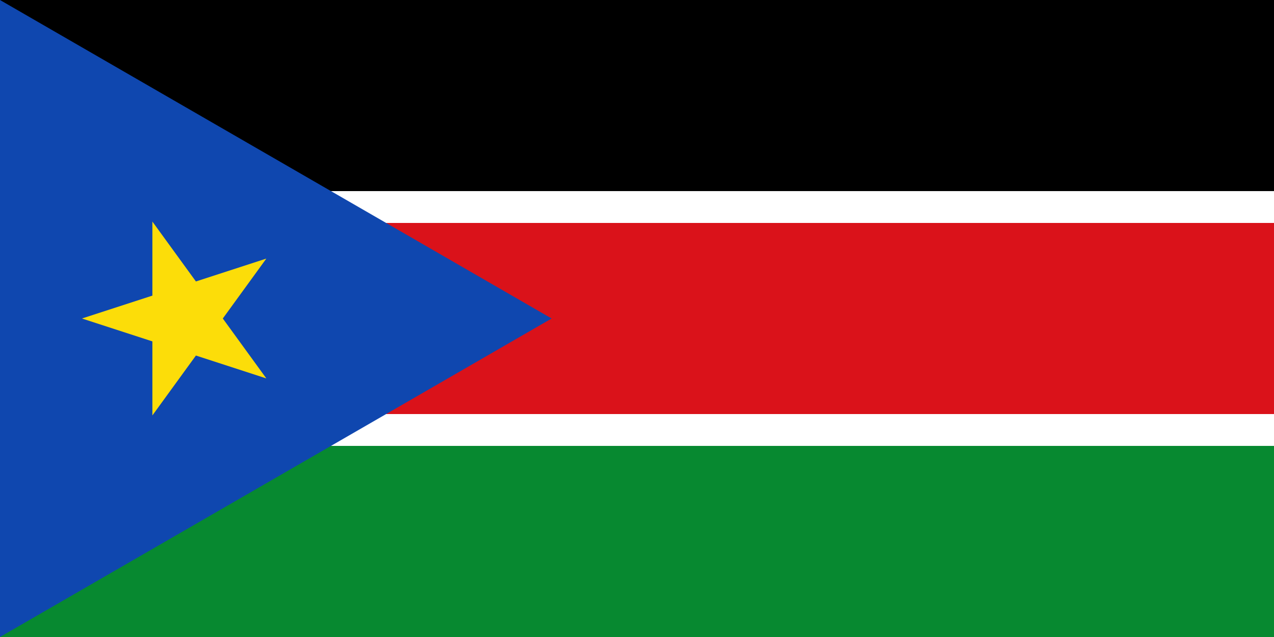 South Sudan's flag